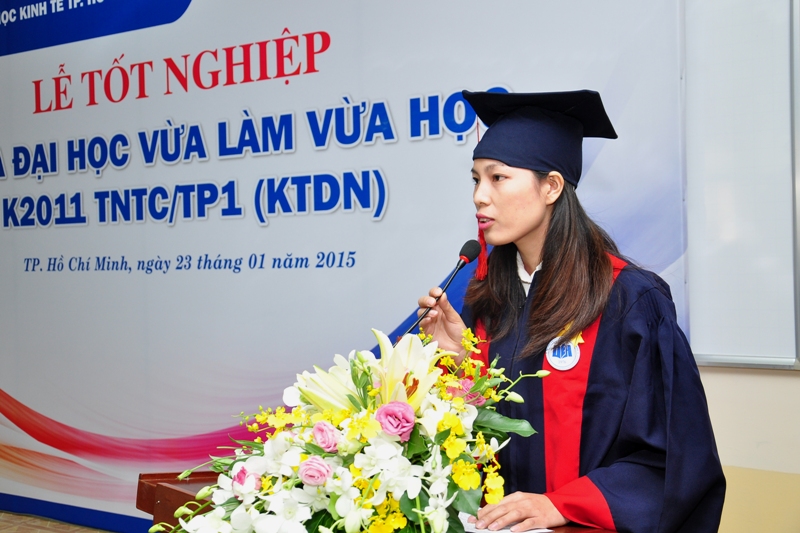 cá cược thể thao hul city